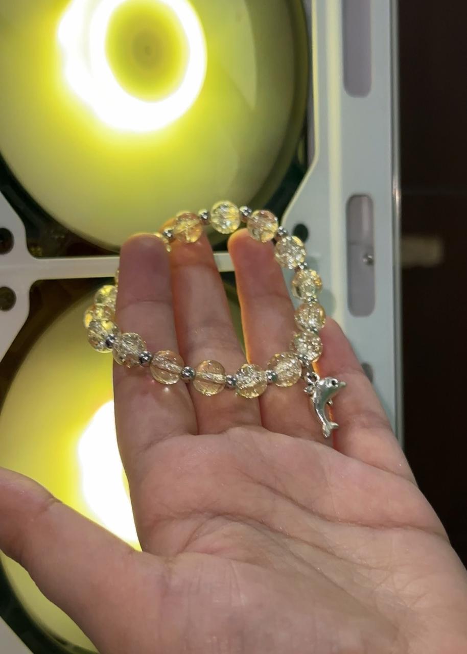 CINDERLLA BRACELET - EVERY SOLUTION MART